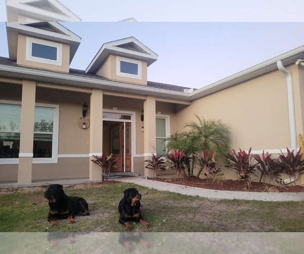Medium Photo #6  Breeder Profile in EUSTIS, FL, USA
