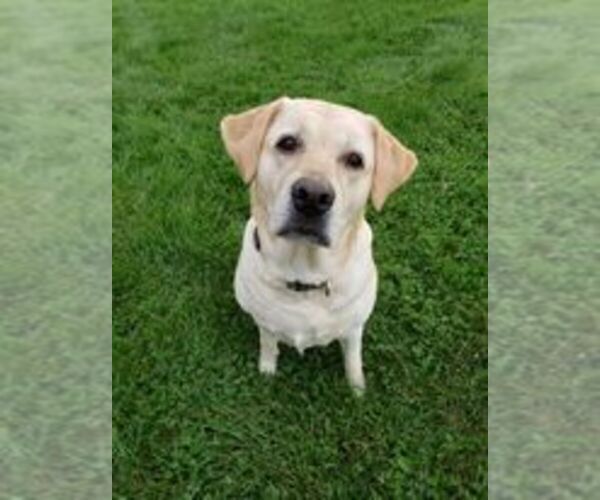 Medium Photo #1  Breeder Profile in CUTLER, OH, USA