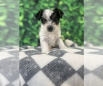 Small #1 Breeder Profile image