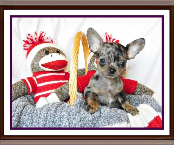 Medium Photo #6  Breeder Profile in CHARLESTON, AR, USA