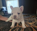 Small #10 Breeder Profile image
