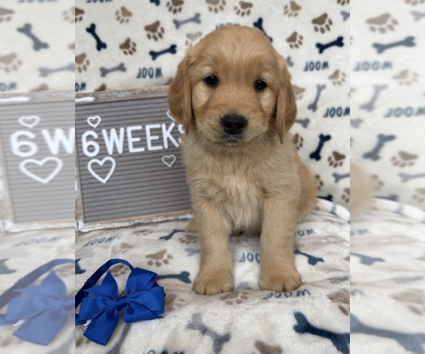 Medium Photo #3  Breeder Profile in TONASKET, WA, USA