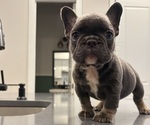 Small #6 Breeder Profile image