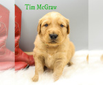 Small #6 Breeder Profile image