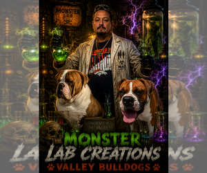 Medium Breeder Profile Photo