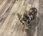 Small #6 Breeder Profile image