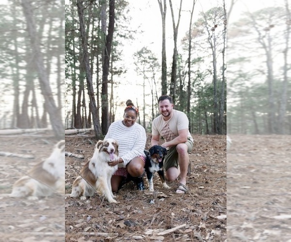 Medium Photo #1  Breeder Profile in TYLER, TX, USA