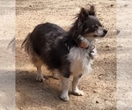 Small #94 Breeder Profile image