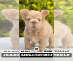 Small #14 Breeder Profile image