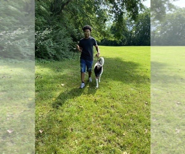 Medium Photo #5  Breeder Profile in LOUISVILLE, KY, USA
