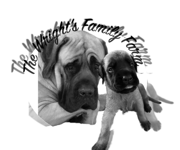 Medium Photo #2  Breeder Profile in OLATHE, KS, USA