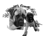 Small #1 Breeder Profile image