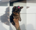 Small #2 Breeder Profile image