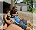 Small Photo #3  Breeder Profile in WALNUT GROVE, MO, USA