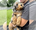Small #5 Breeder Profile image