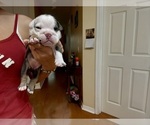 Small #1 Breeder Profile image