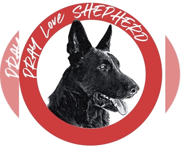 Medium Photo #1  Breeder Profile in SAINT CLOUD, FL, USA
