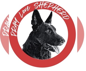 German Shepherd Dog Dog Breeder near SAINT CLOUD, FL, USA