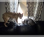 Small #4 Breeder Profile image