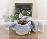 Small #12 Breeder Profile image