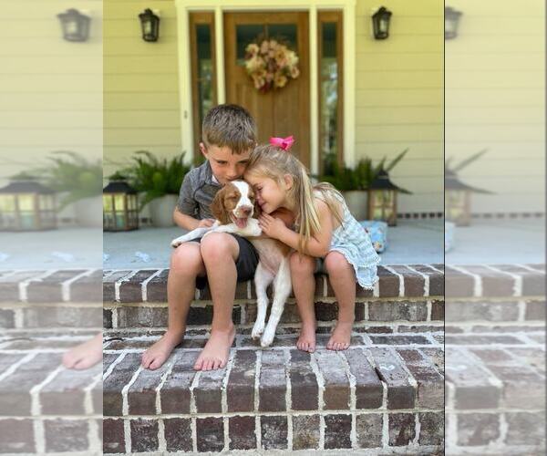 Medium Photo #77  Breeder Profile in HORTENSE, GA, USA