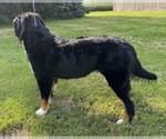 Small #21 Breeder Profile image