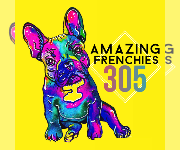Medium Photo #1  Breeder Profile in KENDALL, FL, USA