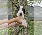 Small #2 Breeder Profile image