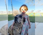 Small Photo #34  Breeder Profile in MONTEVIEW, ID, USA