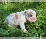 Small #5 Breeder Profile image