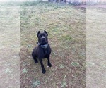 Small #4 Breeder Profile image