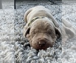 Small #19 Breeder Profile image
