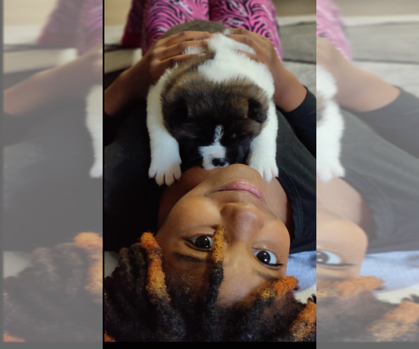 Medium Photo #1  Breeder Profile in MANNING, SC, USA