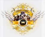 Small #1 Breeder Profile image