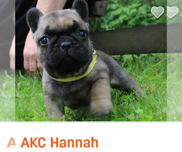 Medium Photo #1  Breeder Profile in SOLWAY, MN, USA