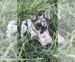 Small #3 Breeder Profile image