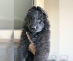 Small #179 Breeder Profile image