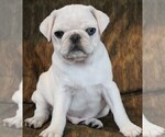 Small #10 Breeder Profile image