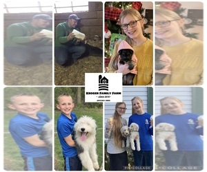 Medium Breeder Profile Photo