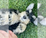 Small #4 Breeder Profile image
