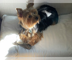 Small #22 Breeder Profile image
