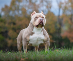 Small #3 Breeder Profile image