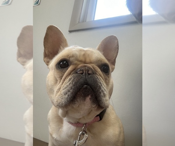 Medium Photo #3  Breeder Profile in BIG RAPIDS, MI, USA