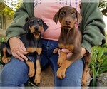 Small Photo #10  Breeder Profile in HAGERSTOWN, IN, USA