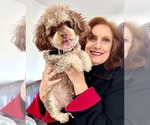 Small #17 Breeder Profile image