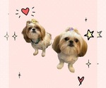 Small #2 Breeder Profile image