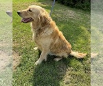 Small #8 Breeder Profile image