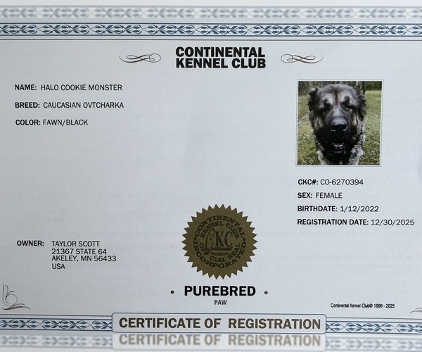 Medium Photo #10  Breeder Profile in AKELEY, MN, USA