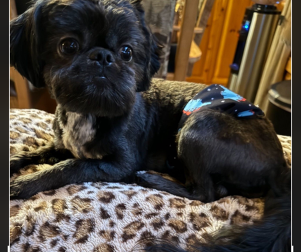 Medium Photo #8  Breeder Profile in BLUFFTON, SC, USA
