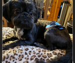 Small #7 Breeder Profile image